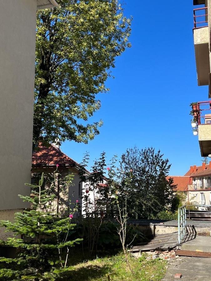 Tampa Residence Μπρασόβ Εξωτερικό φωτογραφία